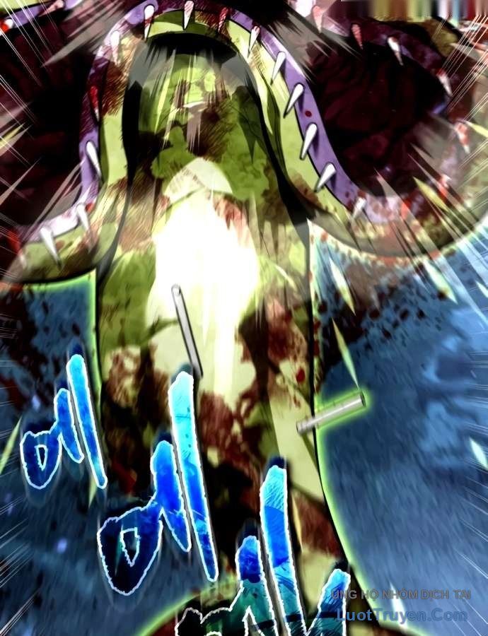 Chiến Binh Hồi Quy