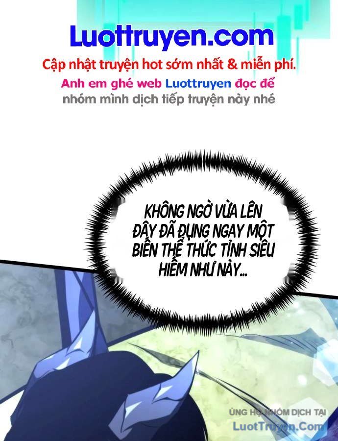 Chiến Binh Hồi Quy