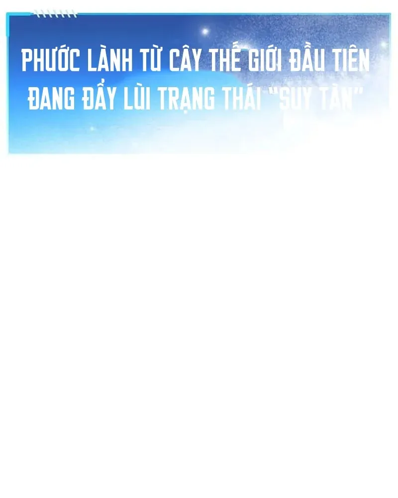 Bức Thư Tình Đến Từ Tương Lai