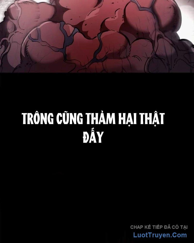 Bức Thư Tình Đến Từ Tương Lai