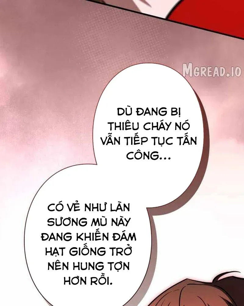 Bức Thư Tình Đến Từ Tương Lai