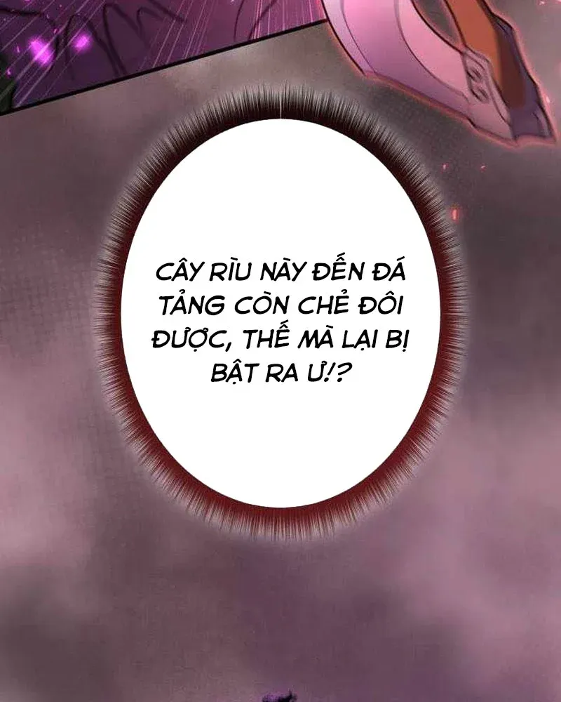 Bức Thư Tình Đến Từ Tương Lai