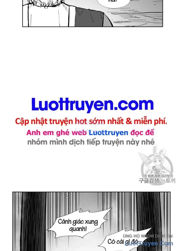 Cơn Bão Đỏ