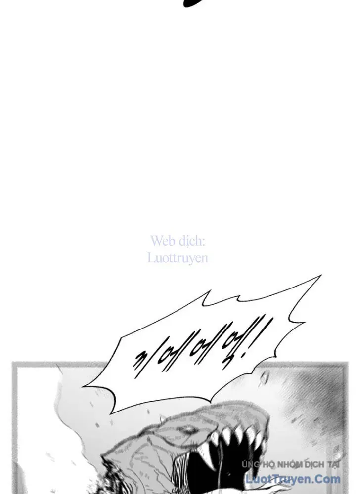 Cơn Bão Đỏ