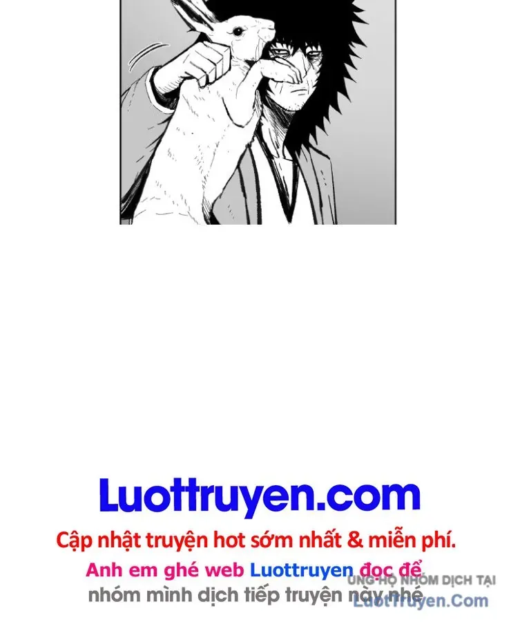 Cơn Bão Đỏ