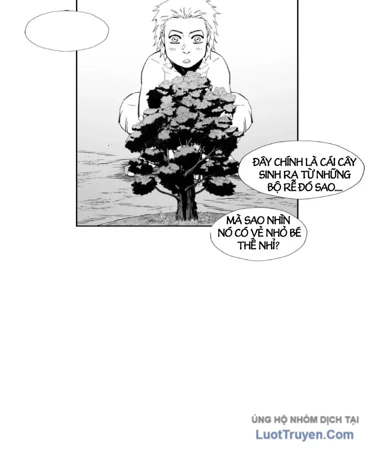 Cơn Bão Đỏ