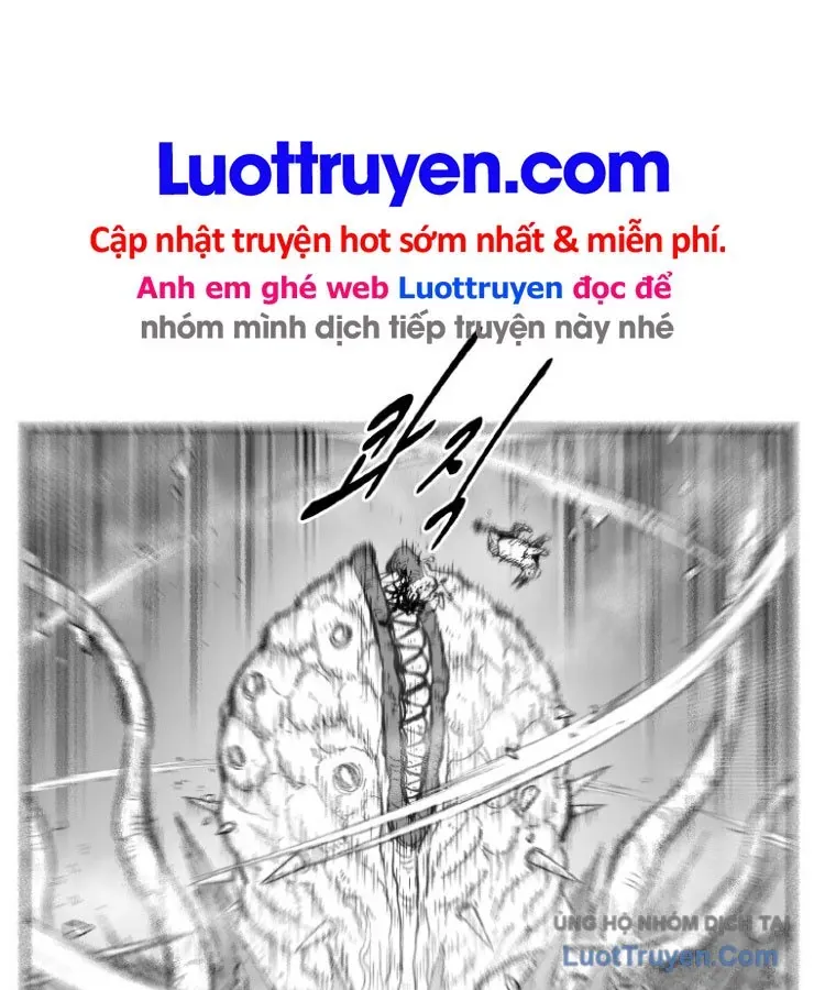 Cơn Bão Đỏ