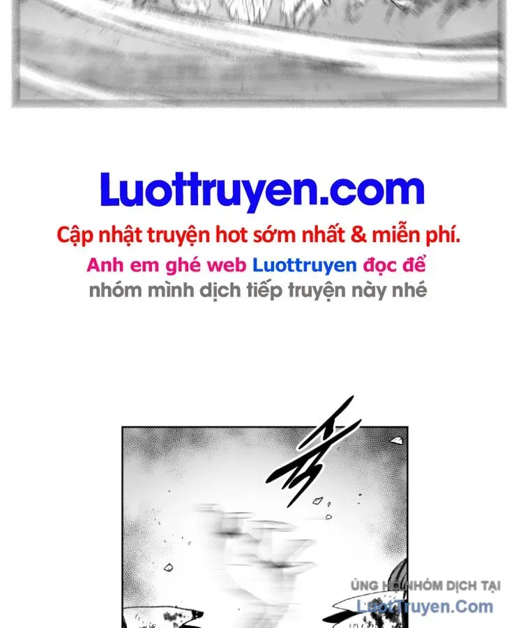 Cơn Bão Đỏ