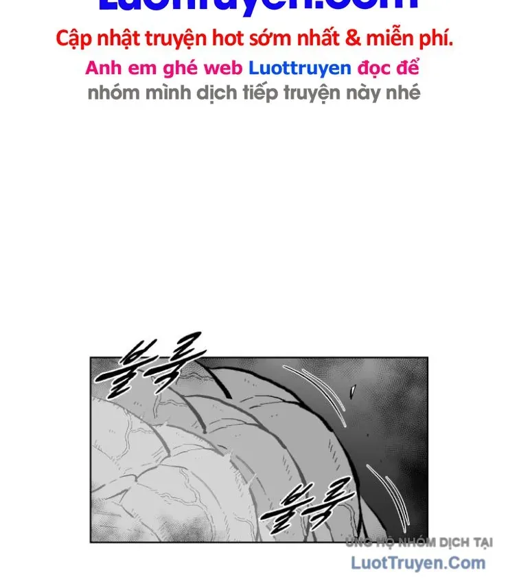 Cơn Bão Đỏ