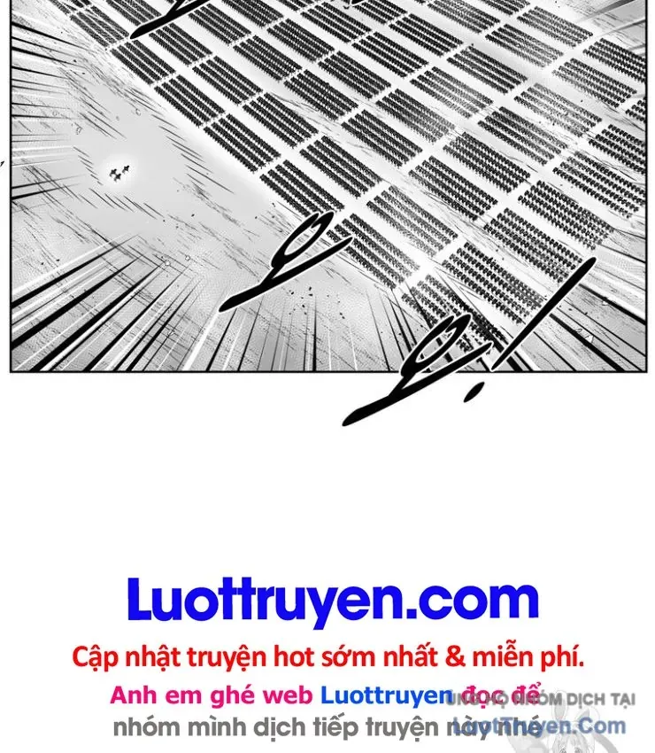 Cơn Bão Đỏ