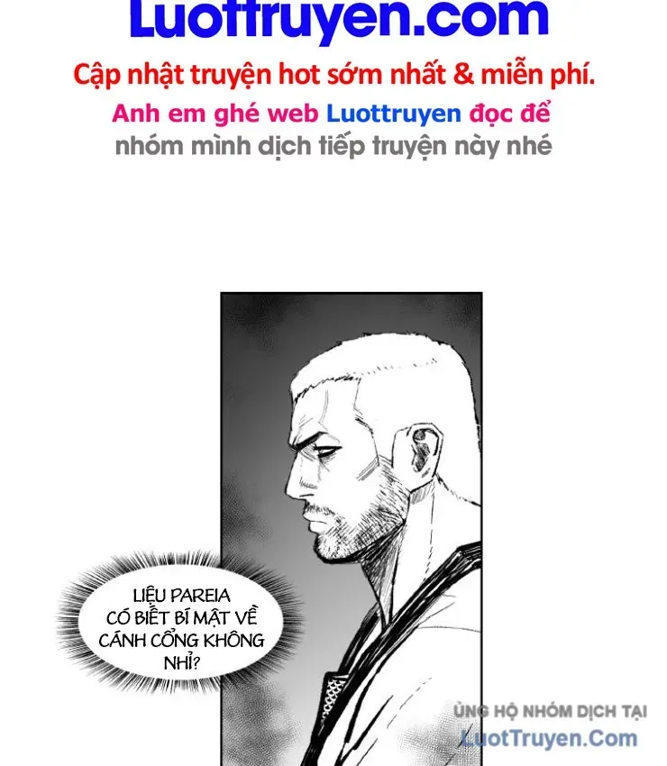 Cơn Bão Đỏ
