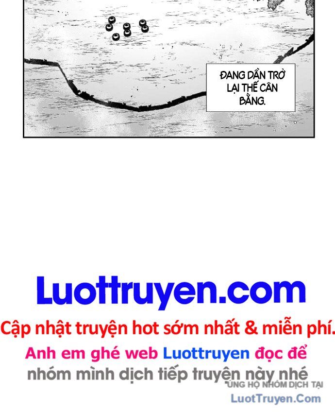 Cơn Bão Đỏ