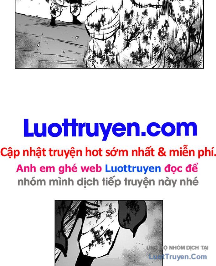 Cơn Bão Đỏ