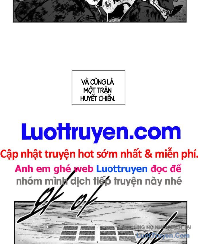 Cơn Bão Đỏ