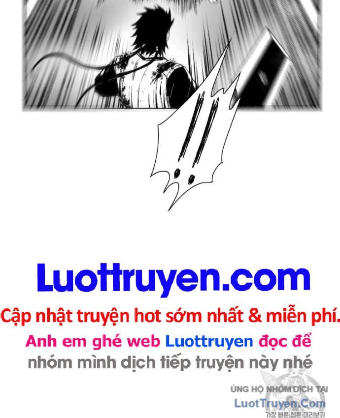 Cơn Bão Đỏ