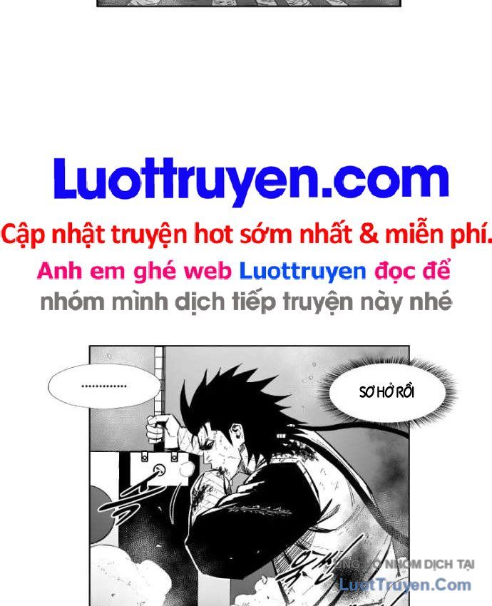 Cơn Bão Đỏ