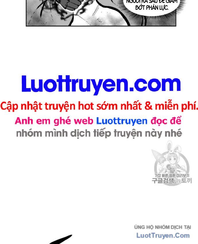 Cơn Bão Đỏ