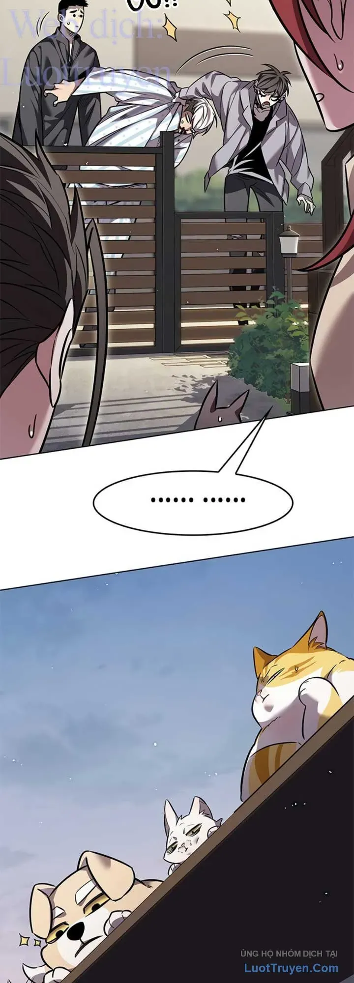 Hoá Thân Thành Mèo Chap 403 - Next Chap 402
