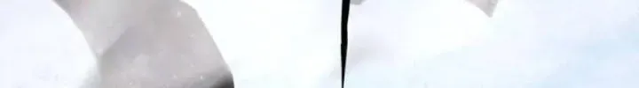 Trường Sinh Đạo Chap 10 - Next Chap 9