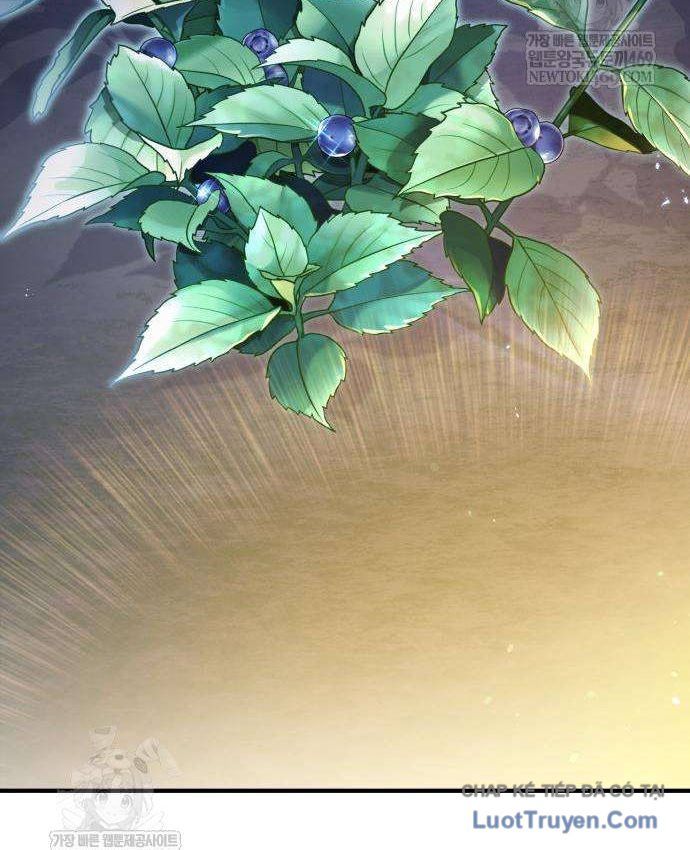 Đứa Con Hoang Cấp 10 Nhà Bá Tước Chap 3 - Next Chap 2