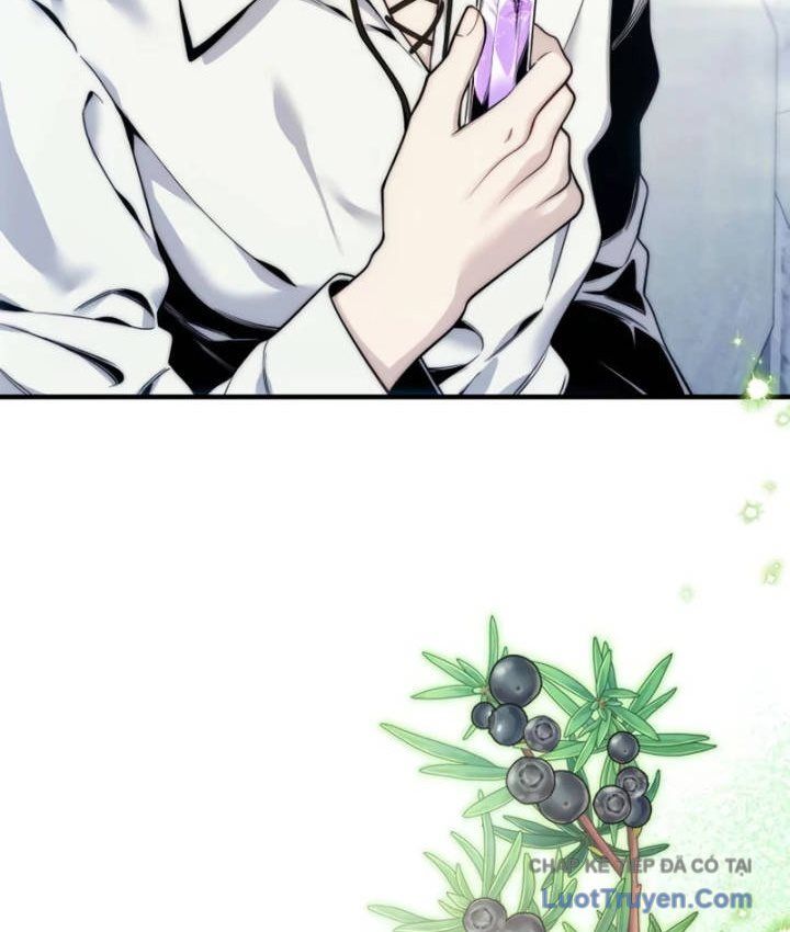 Đứa Con Hoang Cấp 10 Nhà Bá Tước Chap 5 - Next Chap 4