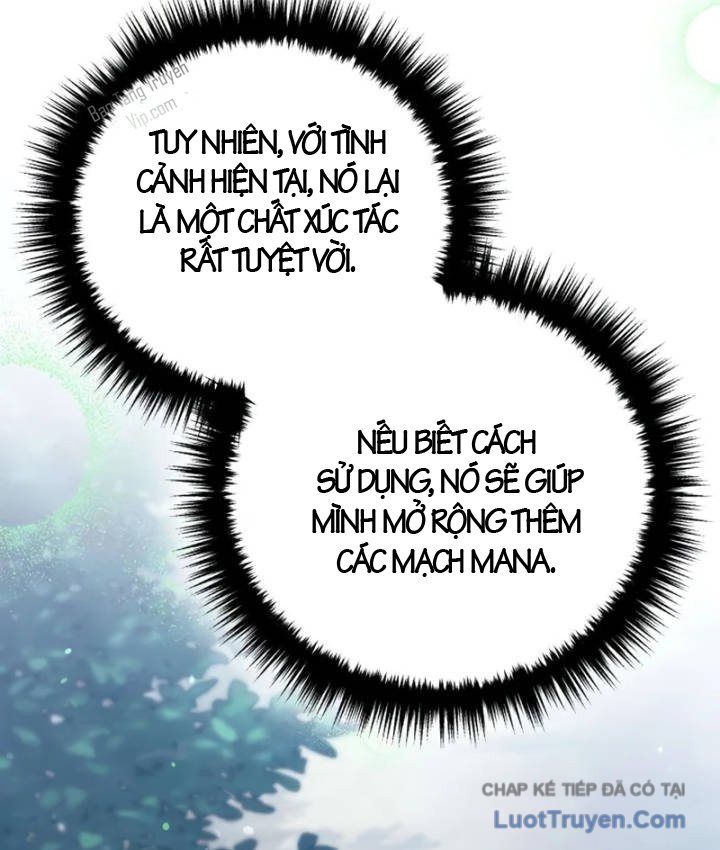 Đứa Con Hoang Cấp 10 Nhà Bá Tước Chap 5 - Next Chap 4