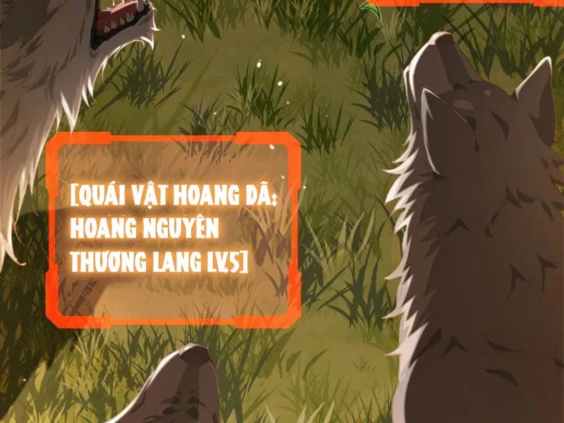Bắt Đầu Ta Đã Có Vô Hạn Kim Sắc