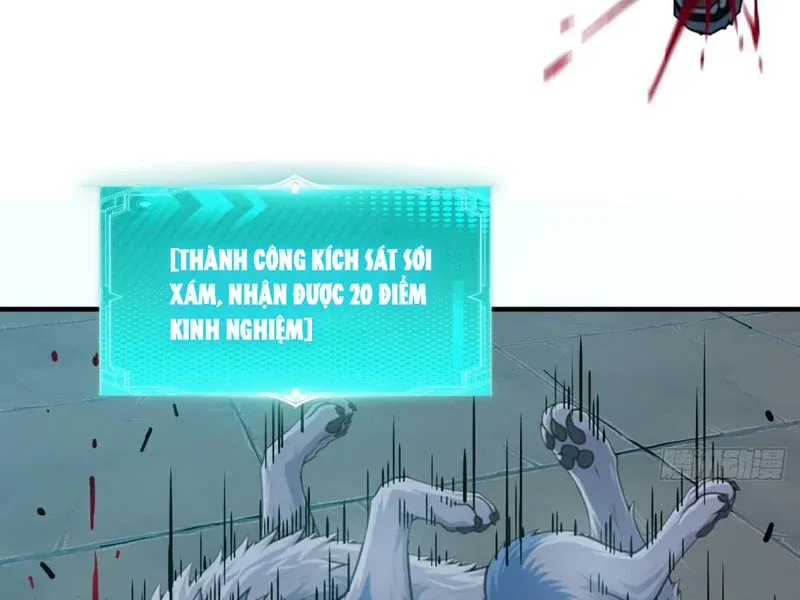 Bắt Đầu Ta Đã Có Vô Hạn Kim Sắc
