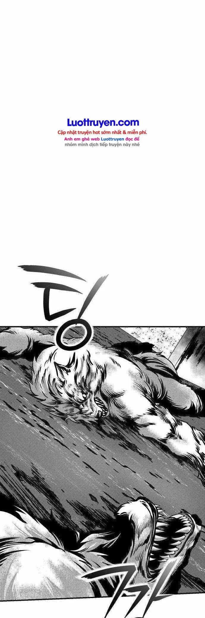 Bậc Thầy Thiết Kế Dungeon