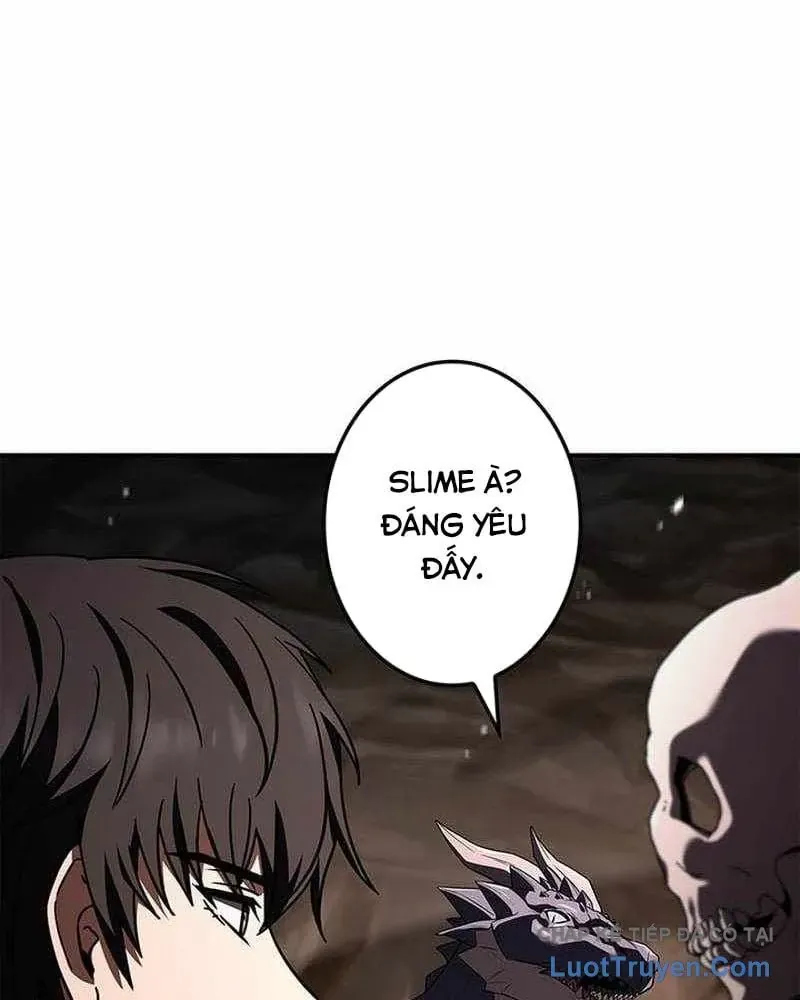 Thánh Giả Thăng Cấp Nhờ Chiêu Hồn Sư Chap 21 - Next Chap 20