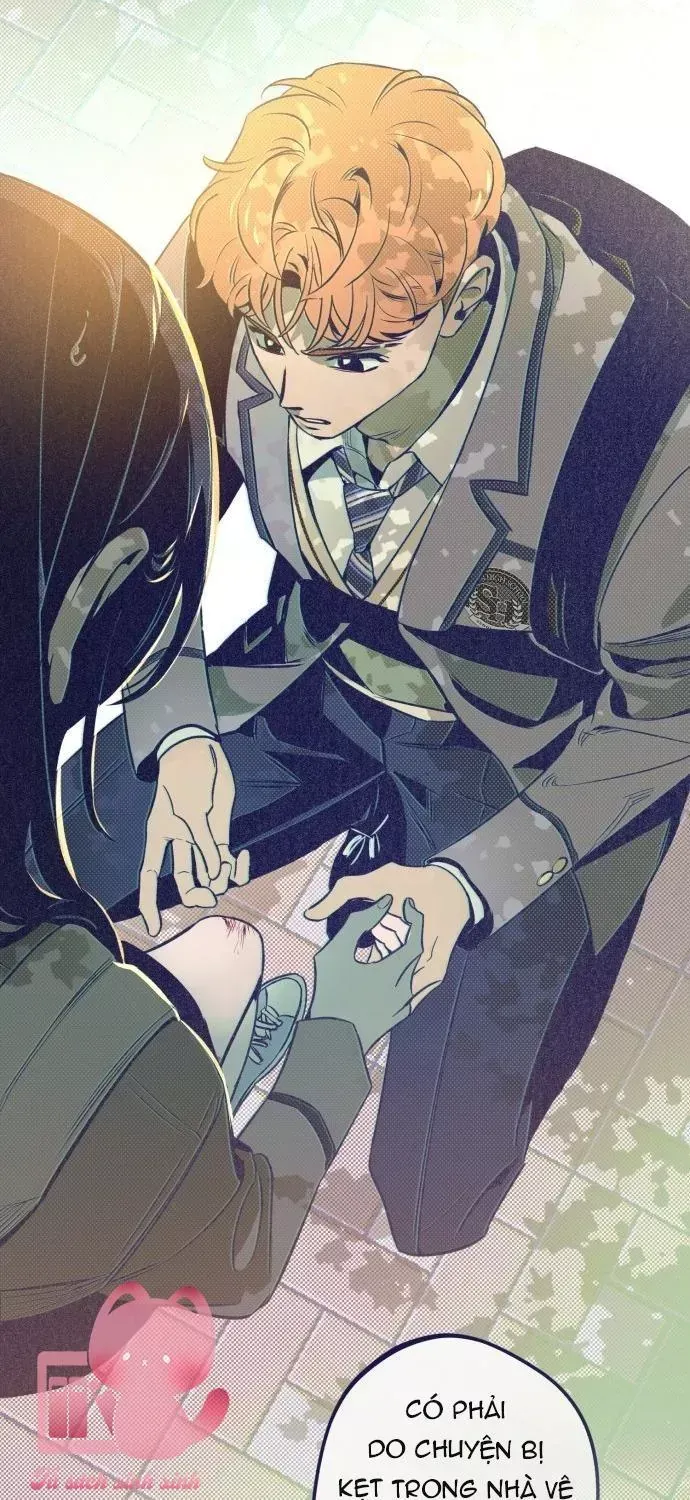 Trắc Nghiệm 4 Lựa Chọn Chap 15