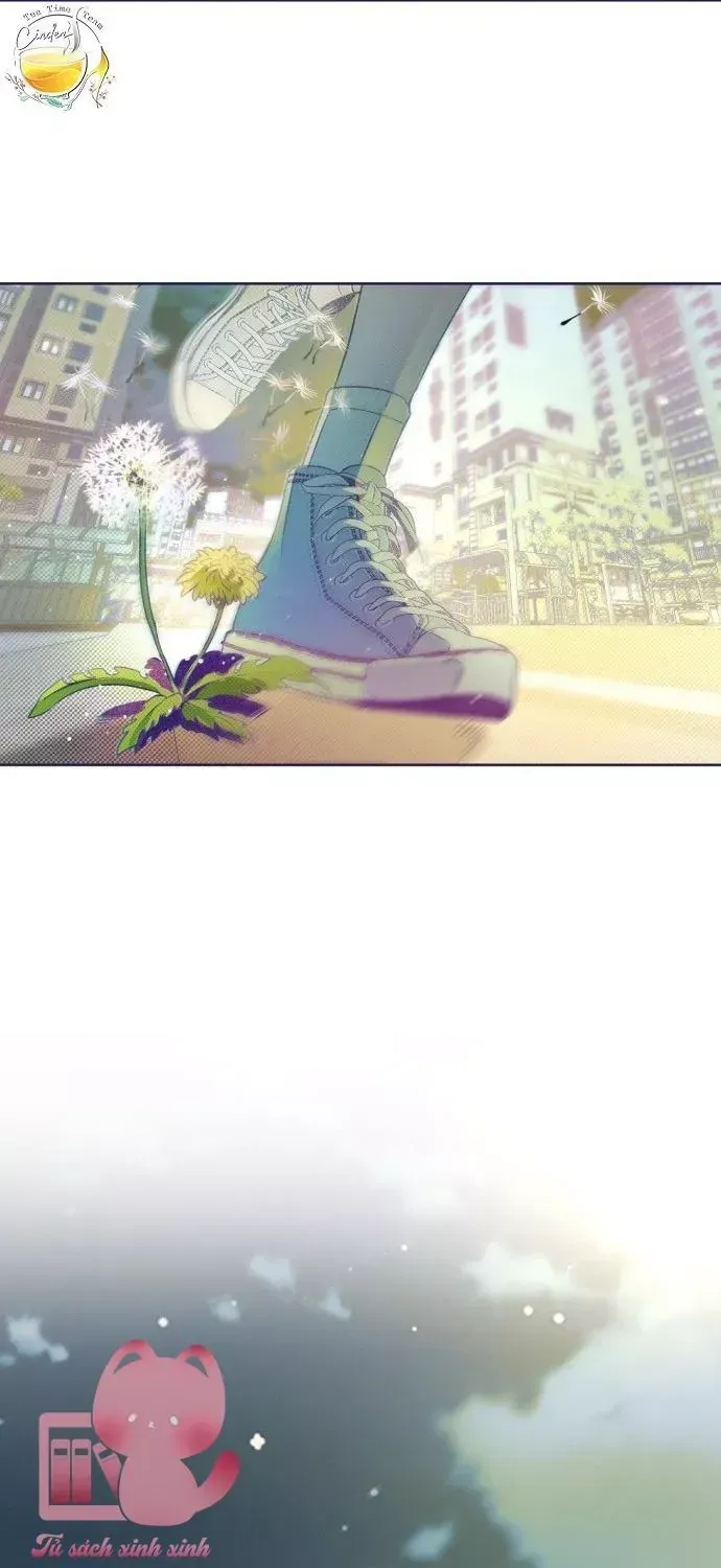 Trắc Nghiệm 4 Lựa Chọn Chap 15