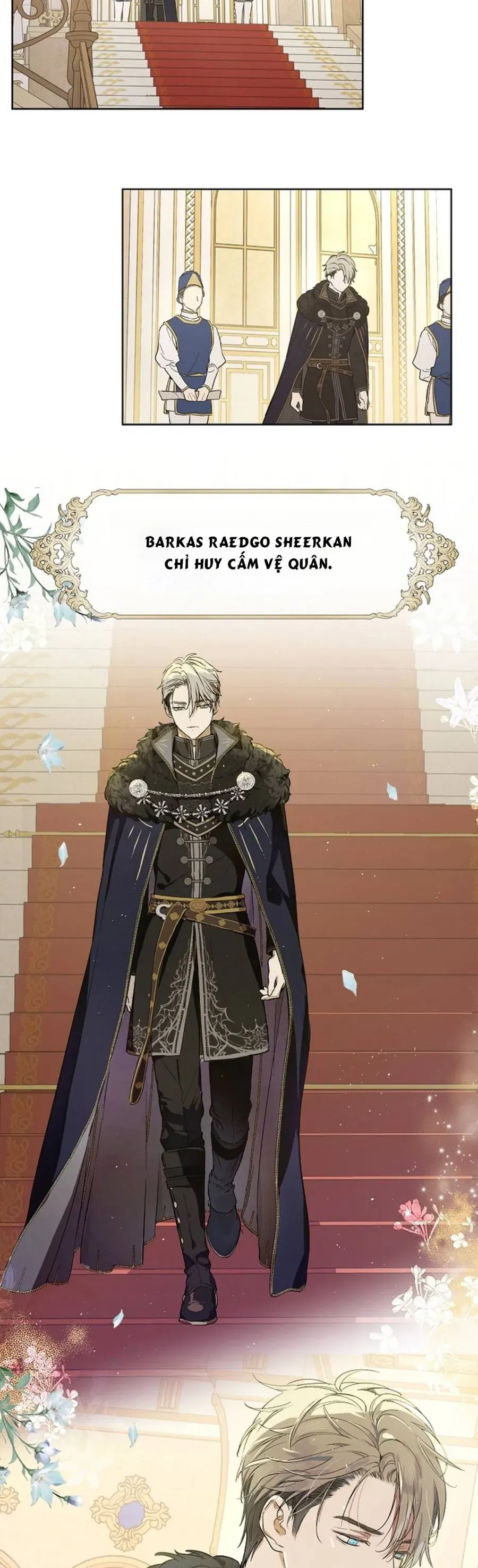 Cánh Đồng Bị Lãng Quên