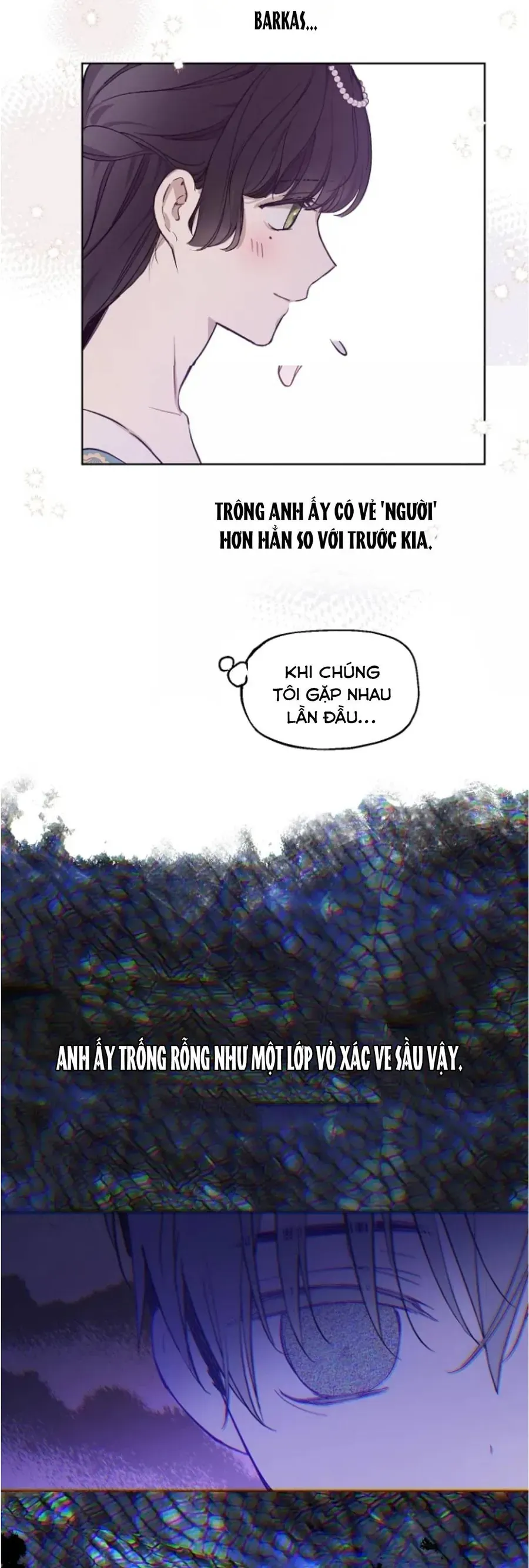 Cánh Đồng Bị Lãng Quên