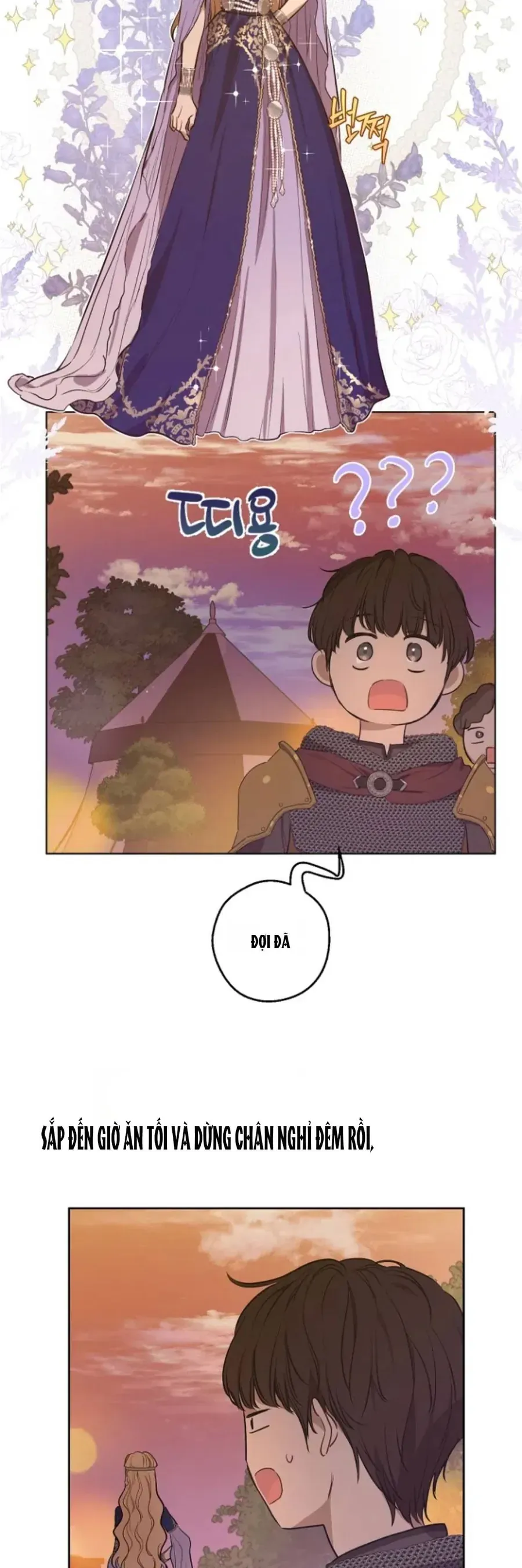 Cánh Đồng Bị Lãng Quên