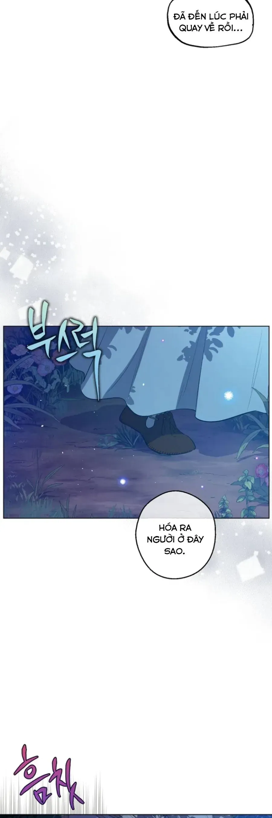 Cánh Đồng Bị Lãng Quên