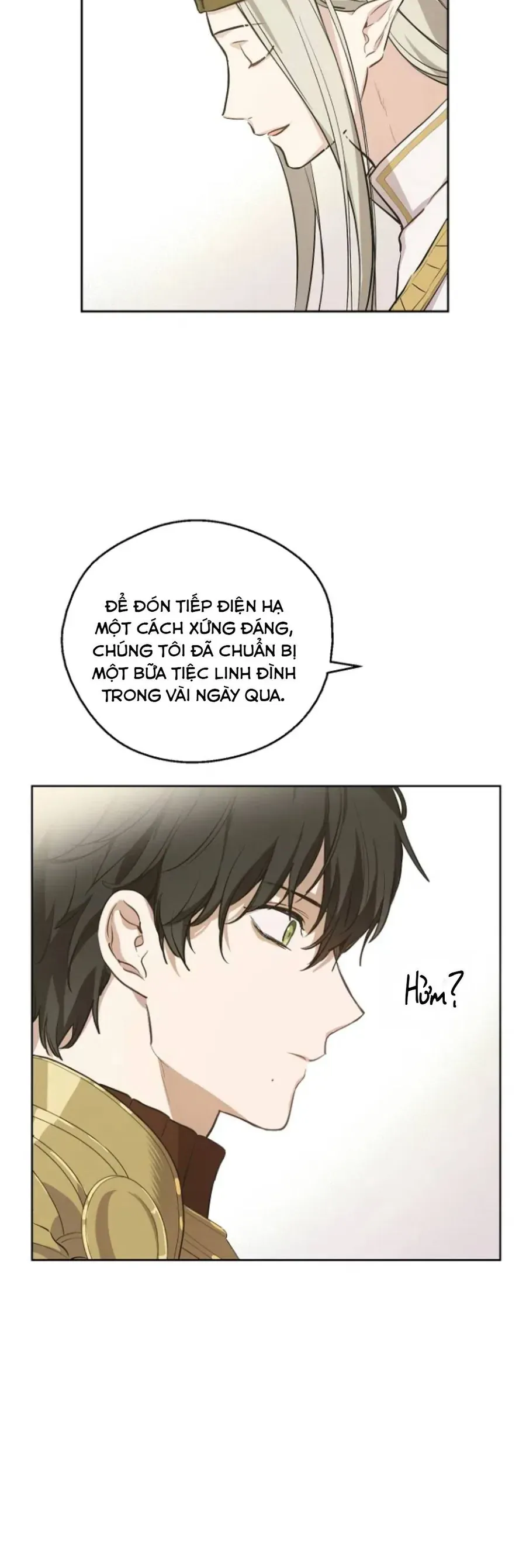 Cánh Đồng Bị Lãng Quên