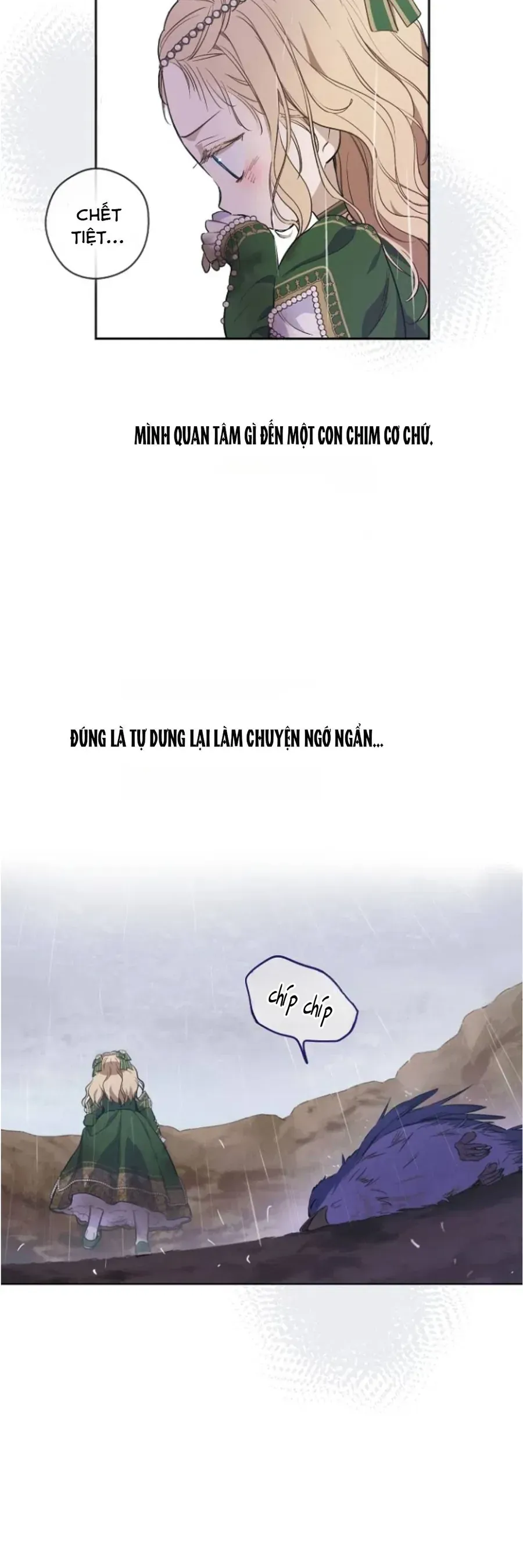 Cánh Đồng Bị Lãng Quên