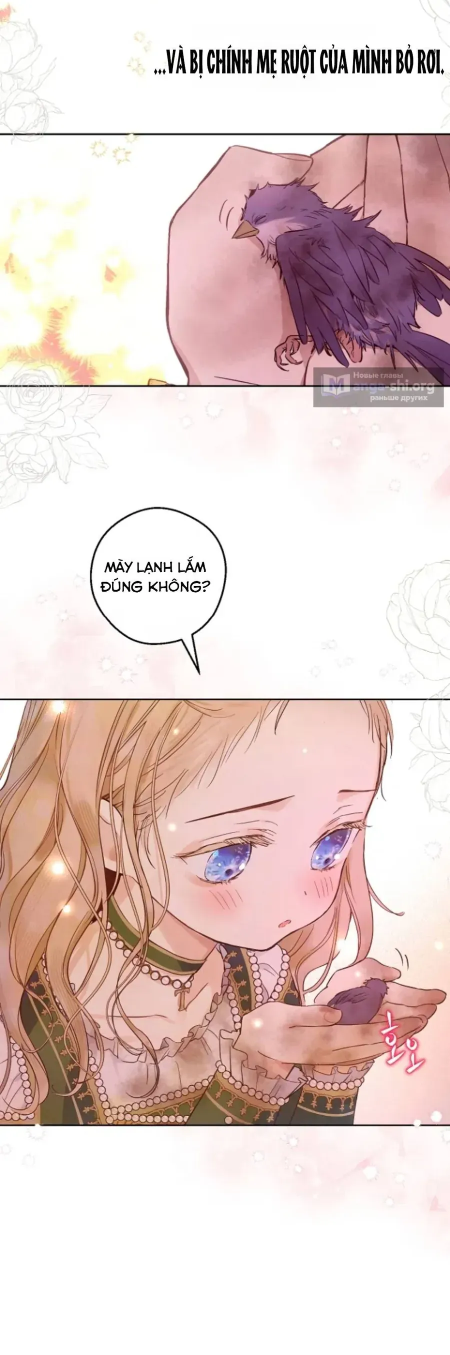 Cánh Đồng Bị Lãng Quên