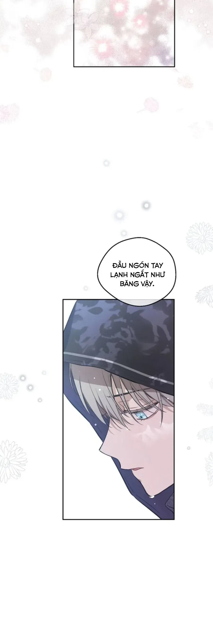 Cánh Đồng Bị Lãng Quên
