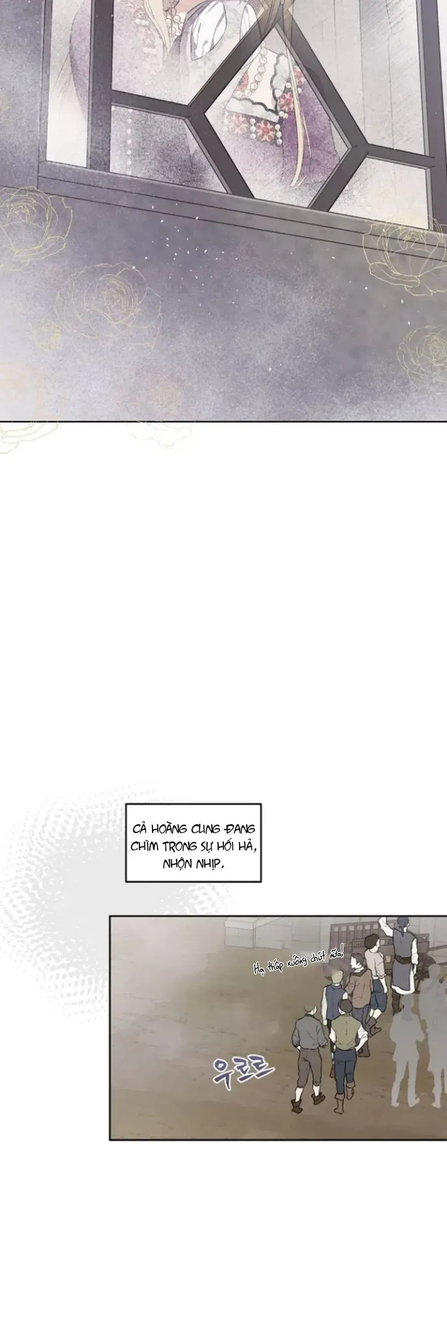 Cánh Đồng Bị Lãng Quên