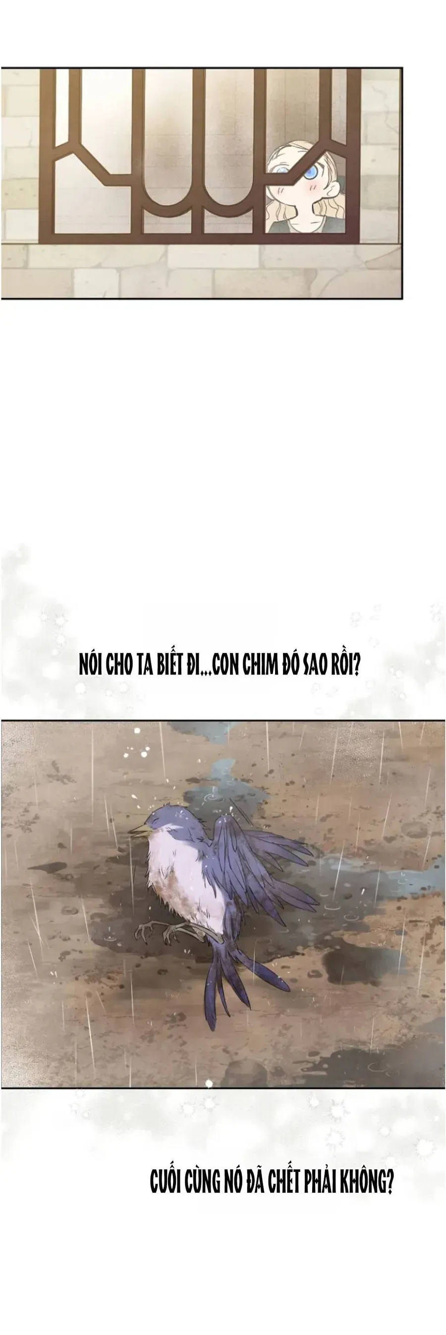 Cánh Đồng Bị Lãng Quên