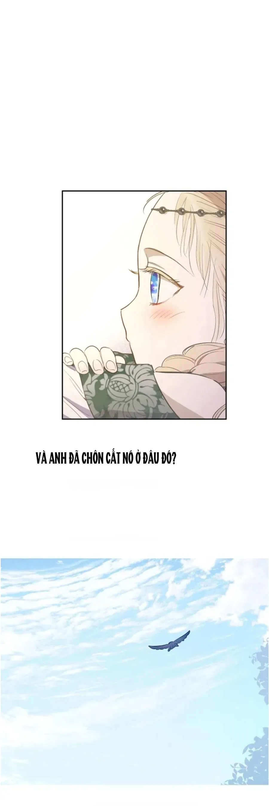Cánh Đồng Bị Lãng Quên
