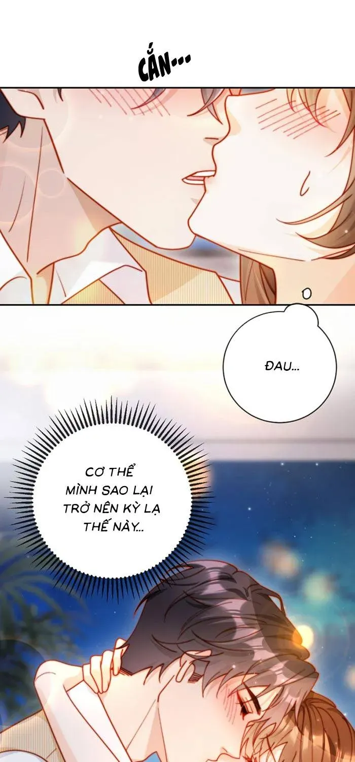 Nụ Hôn Xung Hỉ: Đại Lão Thực Vật Sống Lại Rồi! Chap 51 - Next Chap 50