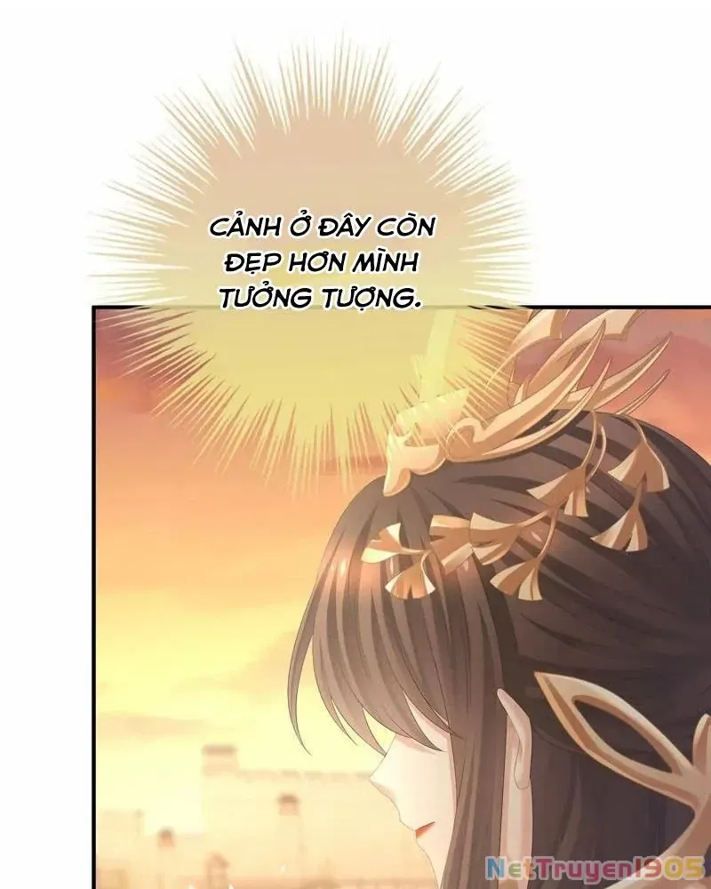 Hậu Cung Của Nữ Đế Chap 386 - Next Chap 378