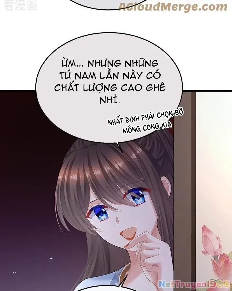 Hậu Cung Của Nữ Đế Chap 395 - Next Chap 386.5