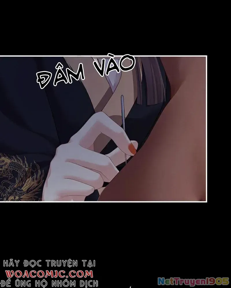 Hậu Cung Của Nữ Đế Chap 413 - Next Chap 397