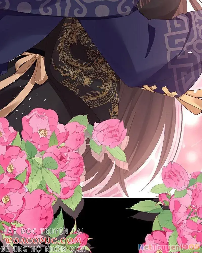 Hậu Cung Của Nữ Đế Chap 426 - Next Chap 425