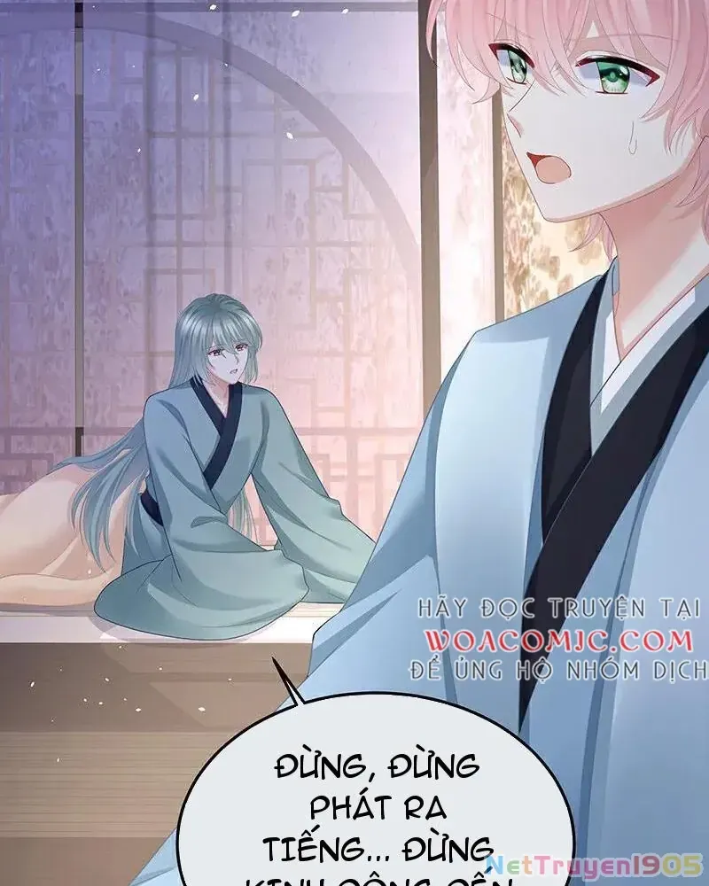 Hậu Cung Của Nữ Đế Chap 432 - Next Chap 426