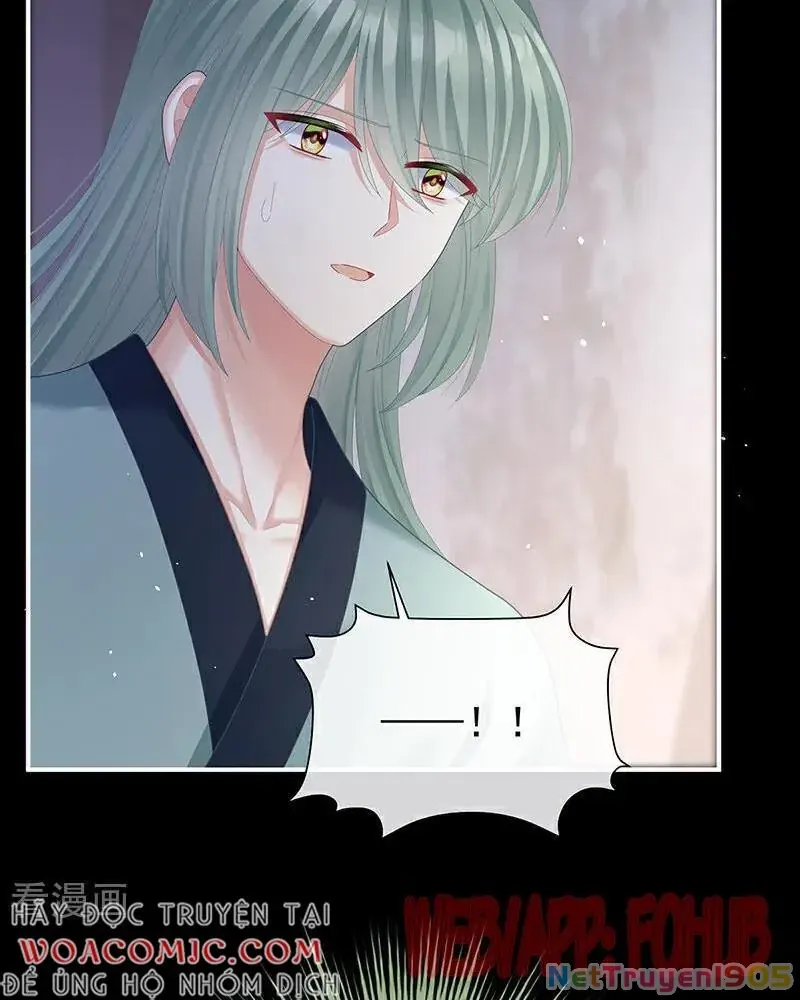 Hậu Cung Của Nữ Đế Chap 432 - Next Chap 426